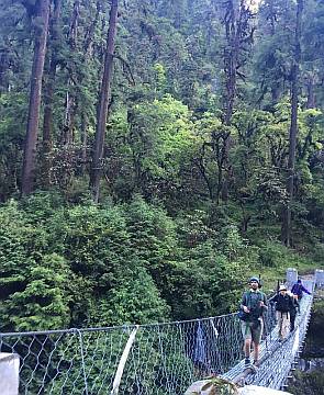 Dense forest in eastern Nepal