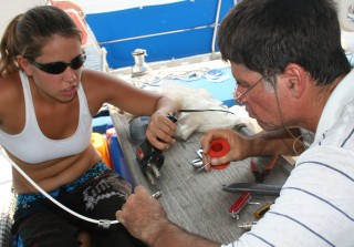 Repairs underday: soldering new connectors for the VHF antenna