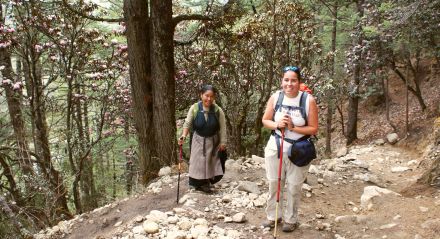 Rhododendron forest trail up to Thangboche Monastery