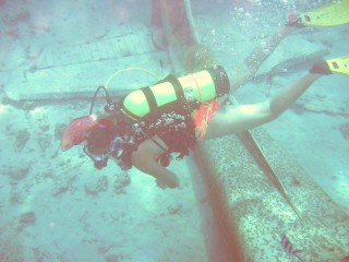 Amanda over the Cessna, with soldierfish by her head, and scissortail sergeant on right