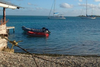 Ocelot & Cowrie Dancer in Anse Amyot, Toau Atoll