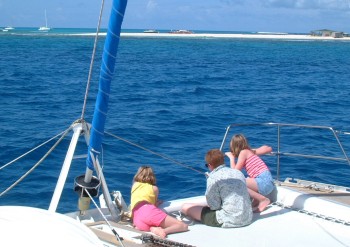 3 Harshbargers on the bow as we approach Sandy Island (off Anguilla)