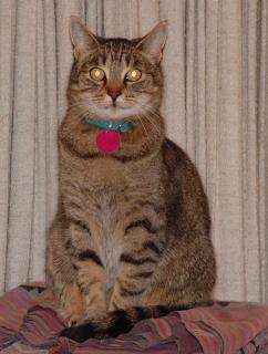 Arthur at home before he became a sea-cat.