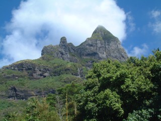 Timeless scenery, the peak of Bora Bora rises above the vegetation