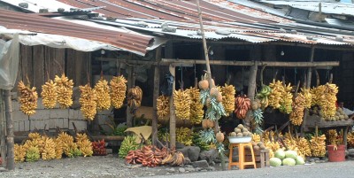 Bus stops at fruit stalls meant lots of banana snacks.