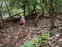 Hiking up to a beautiful waterfall in Nuku Hiva