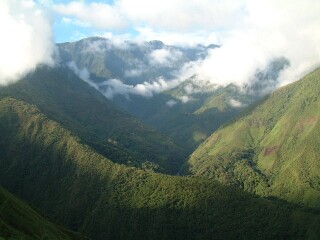 Beatiful, misty cloud forest