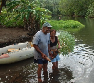 Daniel (of Daniel's Bay) and his granddaughter give us fresh taro