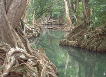 The peaceful serenity of the Indian River