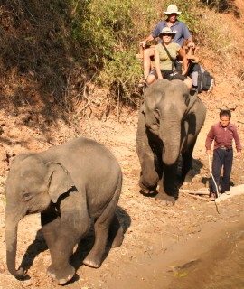 Jon & Amanda on their tempermental mother elephant.