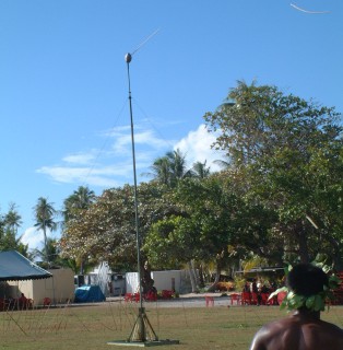 Few spears hit the coconut, so a forest of them would form opposite the pole