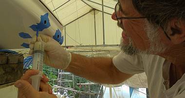 Injecting epoxy into the bimini with a syringe and a soda straw