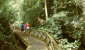 Beautiful long hike into the rainforest at Niah Caves