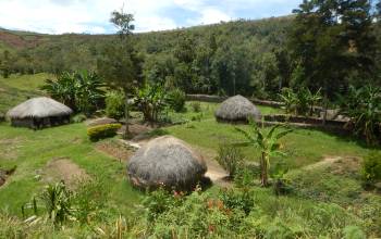 Dani family compound in village north of Wamena