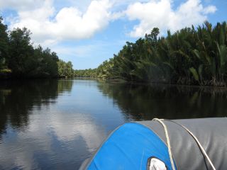 Tributary of the Klias River, Sabah, Malaysia