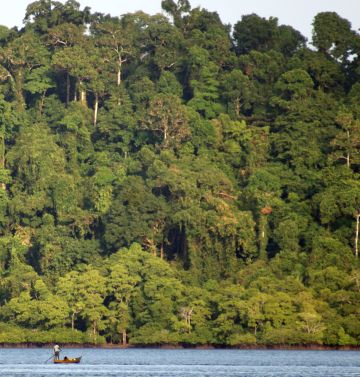 Local fishing boat & the jungle of S. Andaman Is