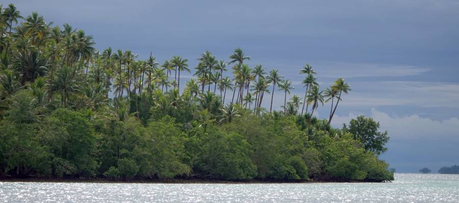 Typical Marovo Lagoon island scene