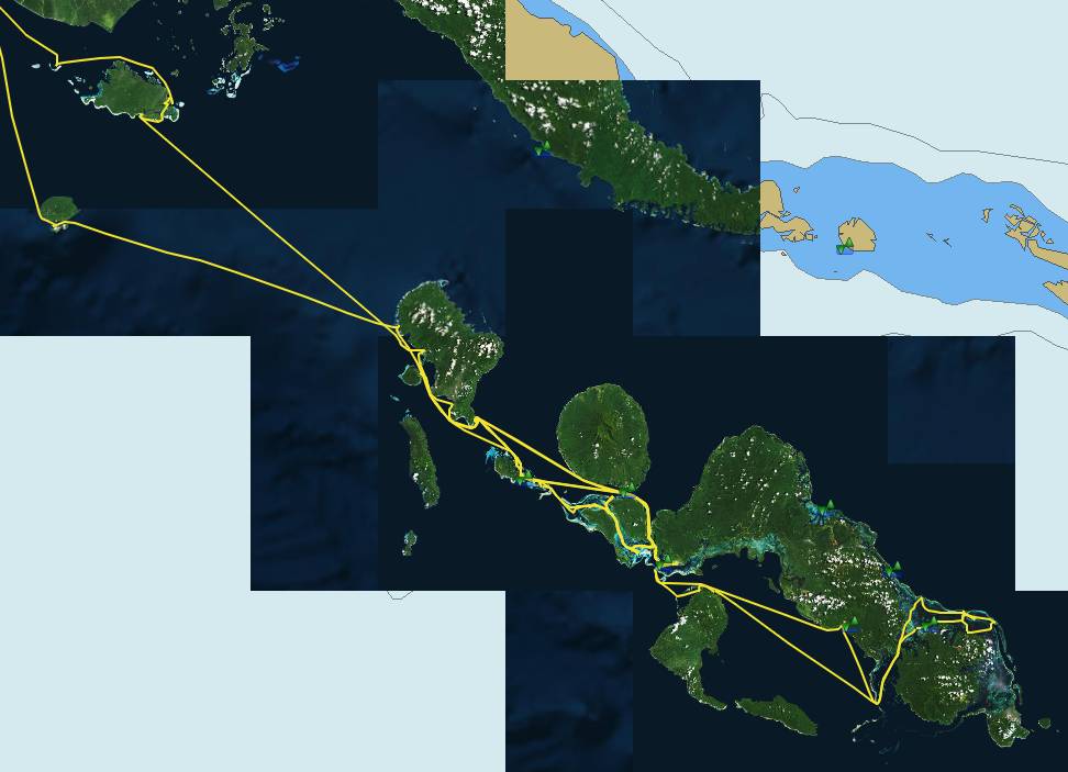 Ocelot's 2019 tracks through the NW Solomon Islands, from the Shortlands in the NW through Marovo Lagoon and back