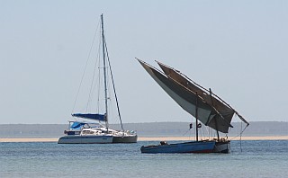 Ocelot & Dhow near sandbanks of Mozambique