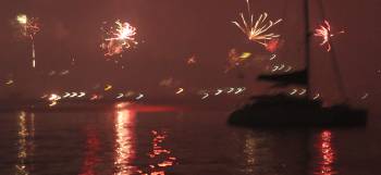 Ocelot against a background of fireworks