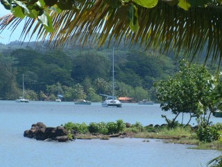 Ocelot anchored in Port Phaeton, Tahiti, while we visit the US