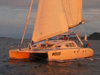 Ocelot sailing at sunrise, northern Indonesia