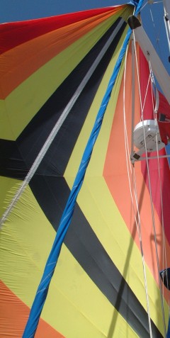 Ocelot sailing under our spinnaker (the "'Chute")