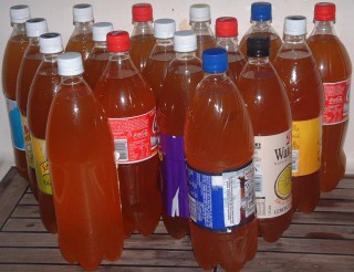 21 liters (~52 cans worth) of Australian Pale Ale