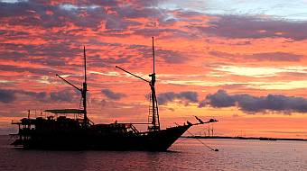 Phinisi dive boats anchored off Sorong