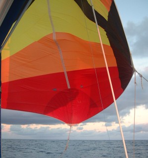 Sailing doesn't get much better than this: flying the chute on the open ocean!