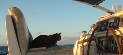 Arthur on his usual seat while underway, both day and night!