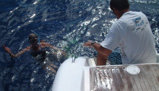 Swimming in the eternal blue of the middle of the Pacific