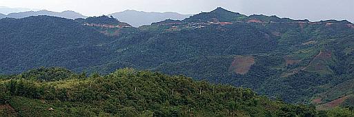 Looking south from our guest house, towards the old tea plantations