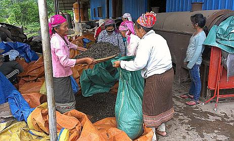 At the tea factory, where the tea is processed, sorted, and boxed