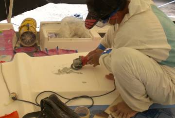 Pla grinding off bad gelcoat above the companionway