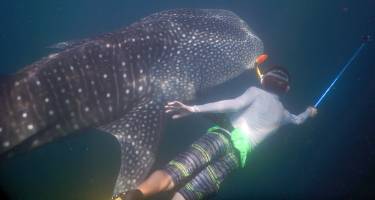 Rainer gets a selfie with a whale shark