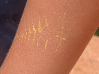 Fern-spore pattern on my arm