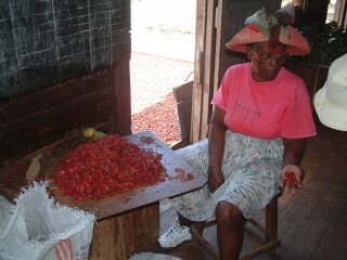 Sorting mace at the spice factory