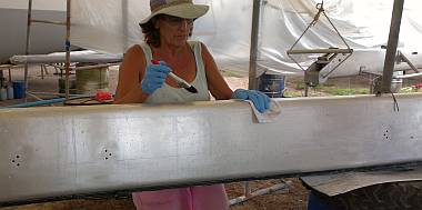 Sue brushing on xylene & then wiping the Nyalic off with a rag