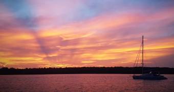 Ocelot silhouetted against the Ramun Bay sunrise