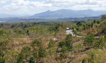 Rugged, dry interior of Timor outside Kupang