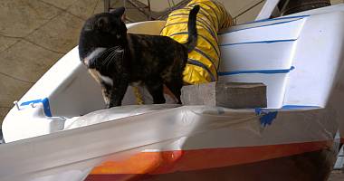 Turtle, the boatyard kitty, surveying "her" domain