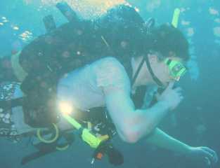 Vince diving past a huge wrecked cargo vessel.