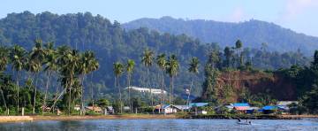 Waisai town from the anchorage